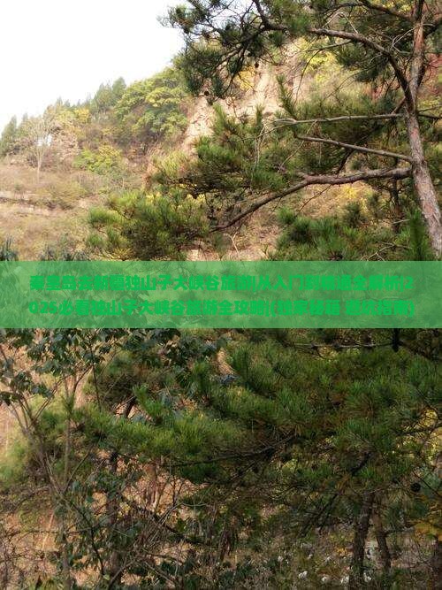 秦皇岛去新疆独山子大峡谷旅游
