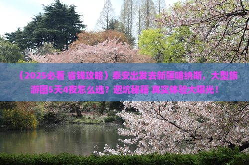 泰安去新疆喀纳斯大型旅游团