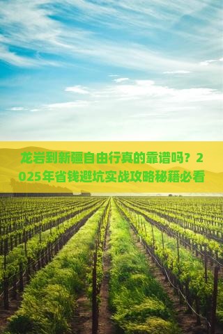 龙岩到新疆自由行