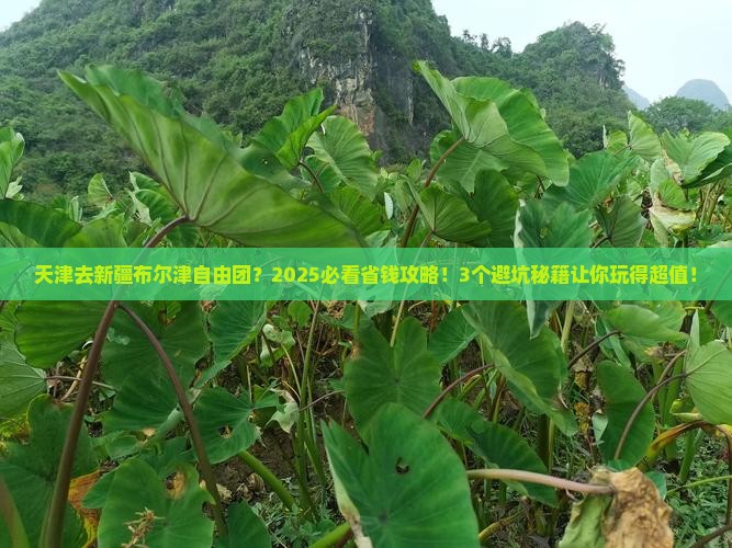 天津去新疆布尔津自由团