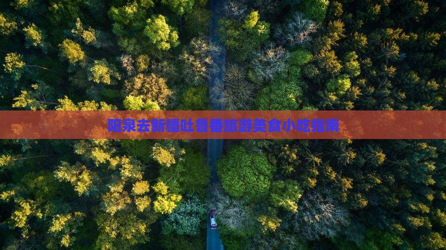 阳泉去新疆吐鲁番旅游小吃