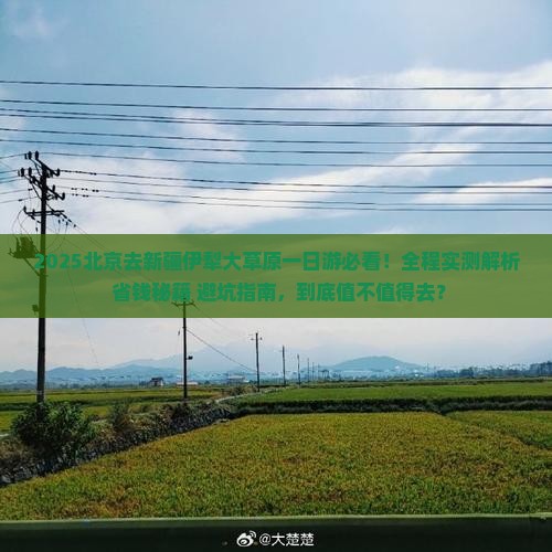 北京去新疆伊犁大草原一日