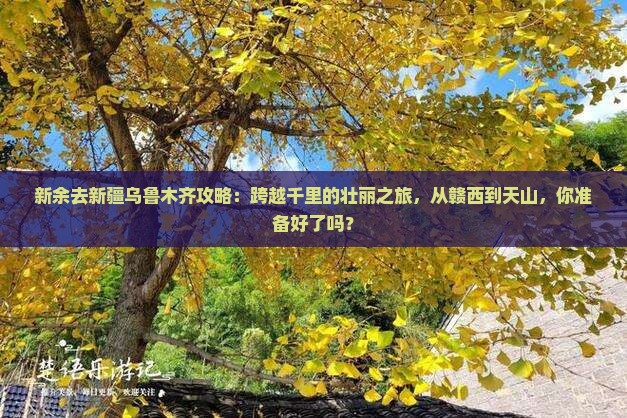 新余去新疆乌鲁木齐攻略