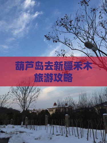 葫芦岛去新疆禾木个人游