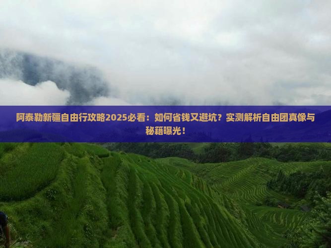 阿泰勒去新疆自由团