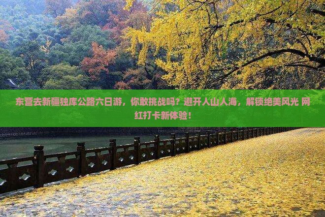 东营去新疆独库公路六日游