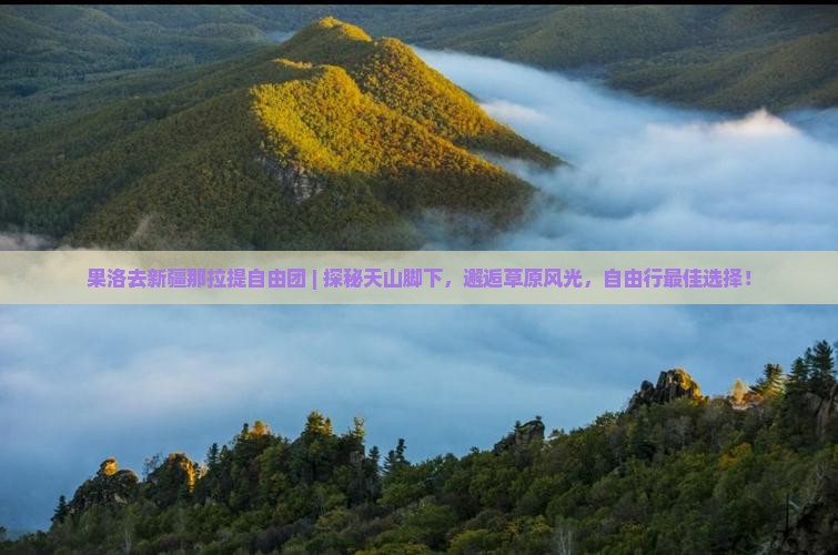 果洛去新疆那拉提自由团