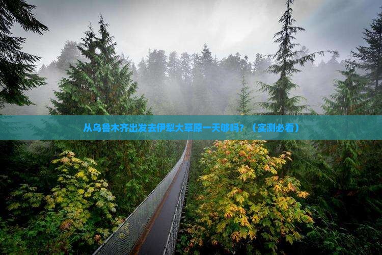 乌鲁木齐到新疆伊犁大草原一日