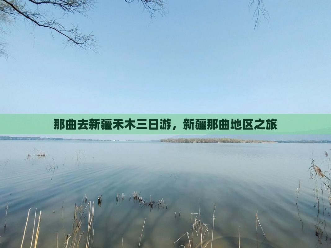 那曲去新疆禾木三日游