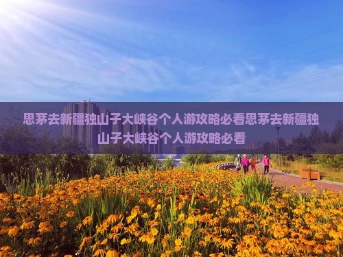 思茅去新疆独山子大峡谷个人游