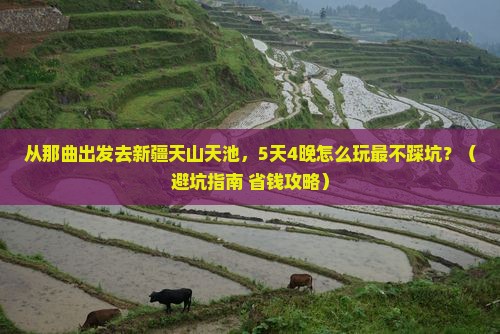 那曲去新疆天山天池团体旅游
