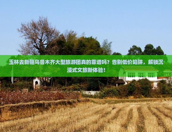 玉林去新疆乌鲁木齐大型旅游团