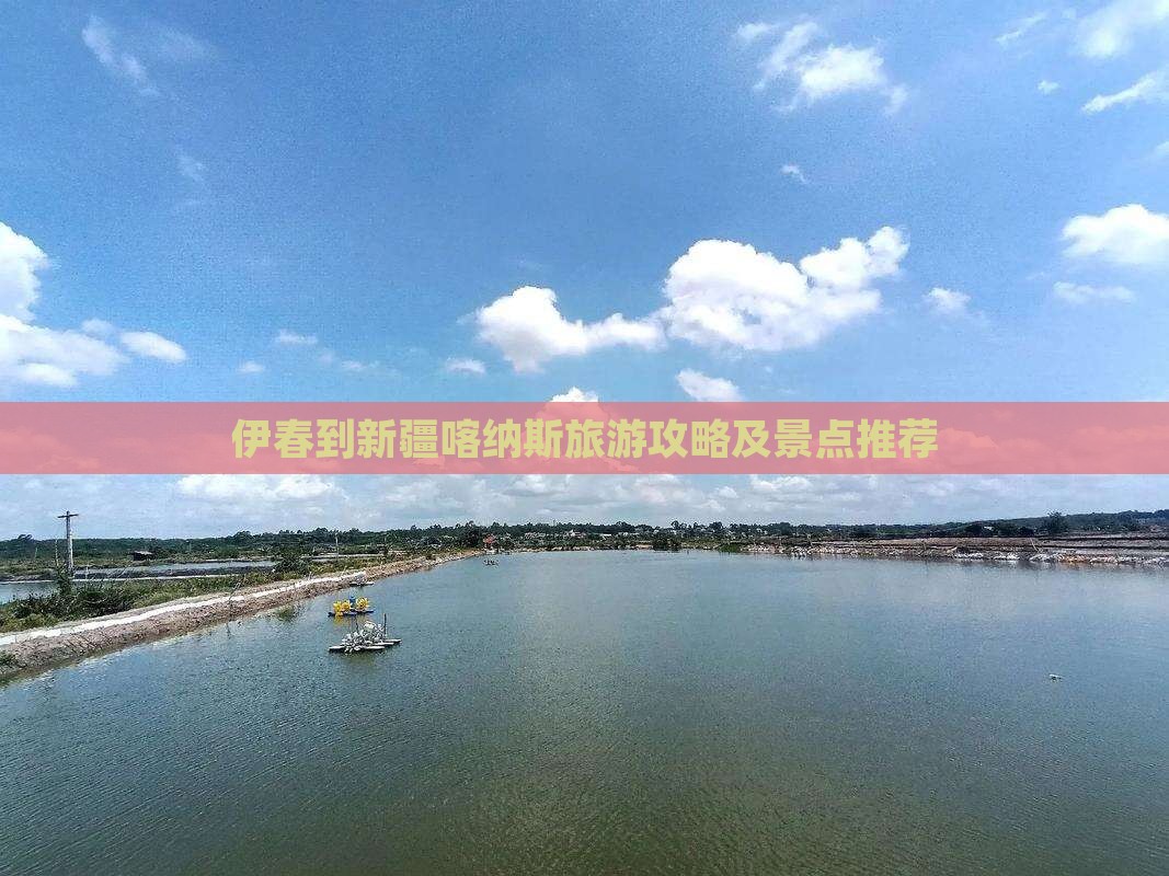 伊春到新疆喀纳斯哪里玩