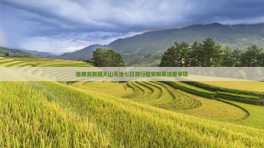 张掖去新疆天山天池七日游