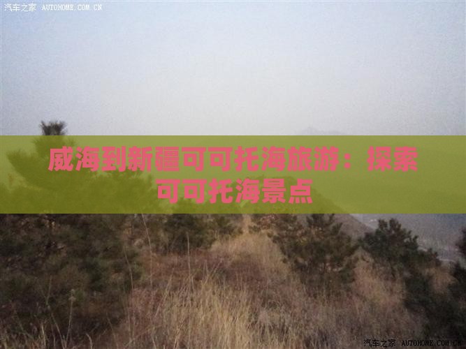 威海到新疆可可托海旅行社