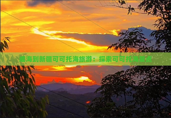 威海到新疆可可托海旅行社