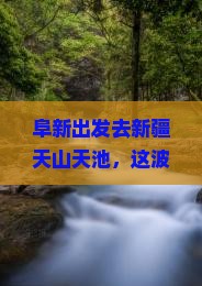 阜新去新疆天山天池团体旅游