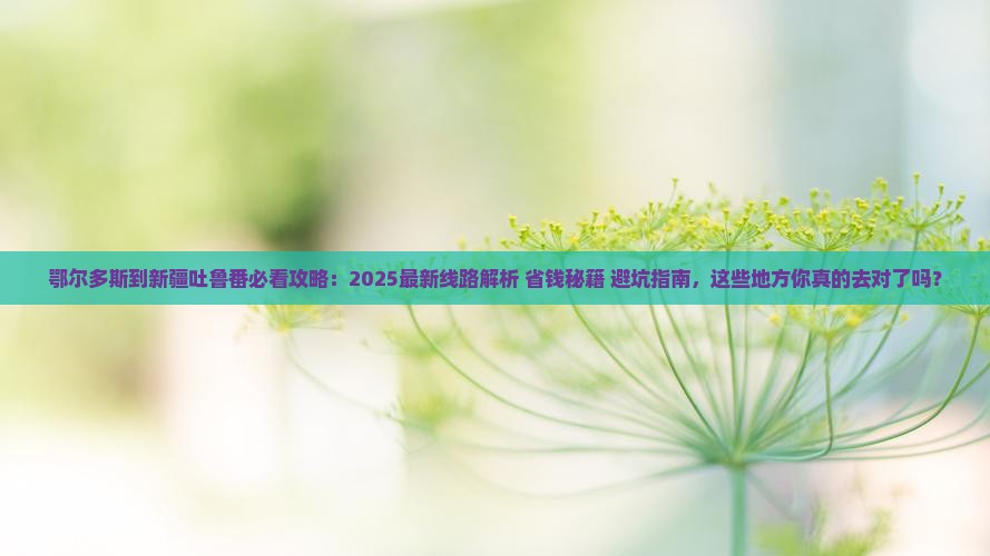 鄂尔多斯到新疆吐鲁番必去地