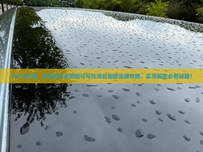 东莞去新疆可可托海自由团