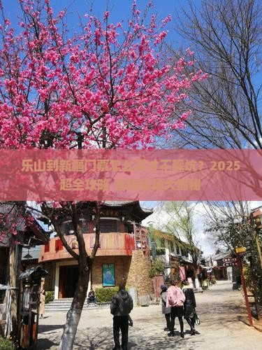 乐山到新疆门票