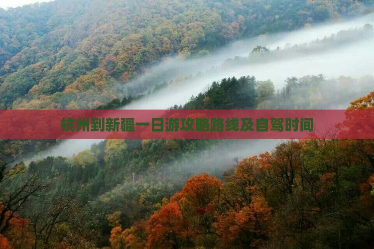 杭州到新疆一日