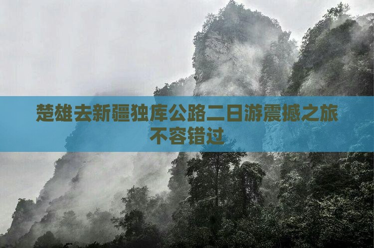 楚雄去新疆独库公路二日游