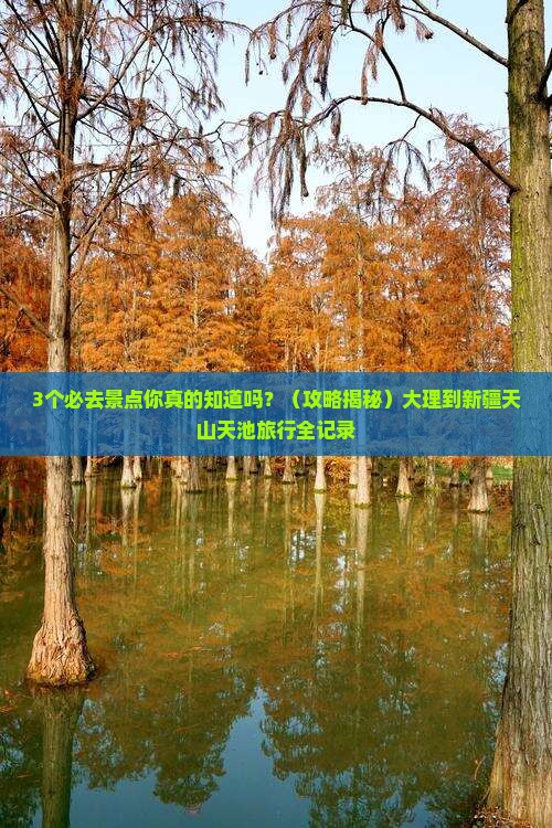大理到新疆天山天池必去地