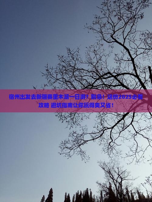 宿州到新疆赛里木湖一日
