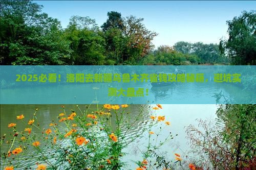 洛阳去新疆乌鲁木齐攻略