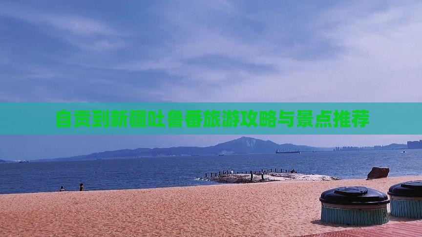 自贡到新疆吐鲁番自由团