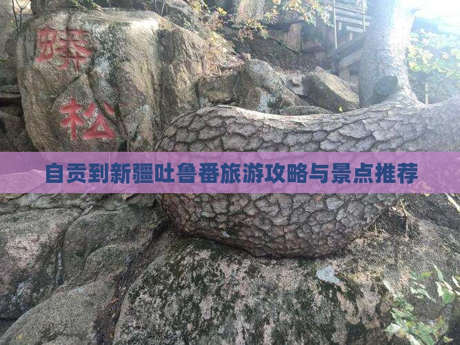 自贡到新疆吐鲁番自由团