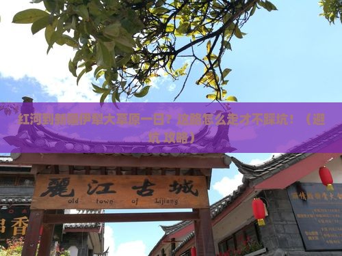 红河到新疆伊犁大草原一日
