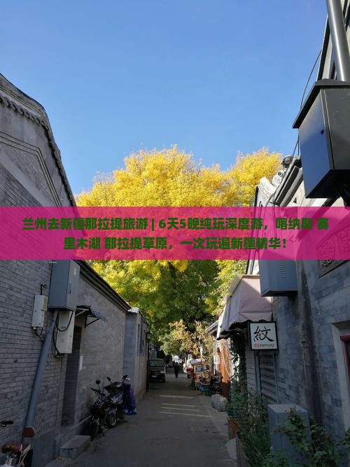 兰州去新疆那拉提旅游