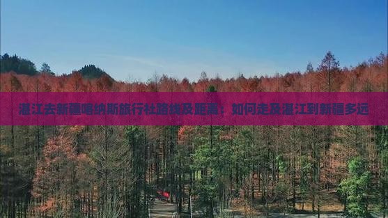 湛江去新疆喀纳斯旅行社