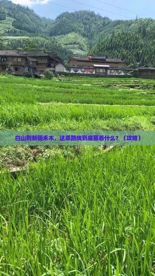 白山到新疆禾木必去地