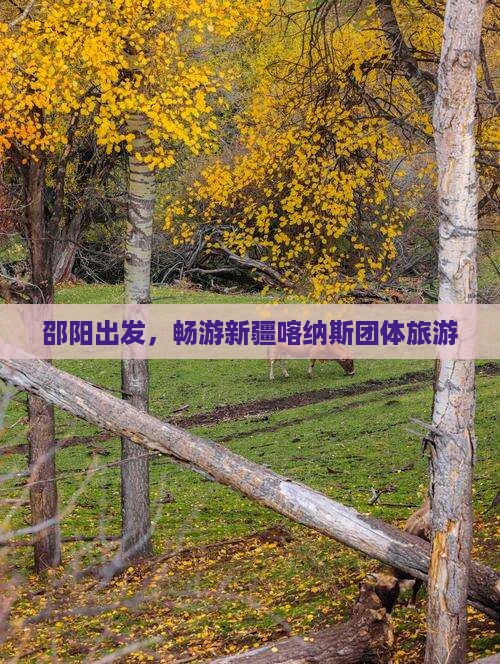 邵阳到新疆喀纳斯团体旅游