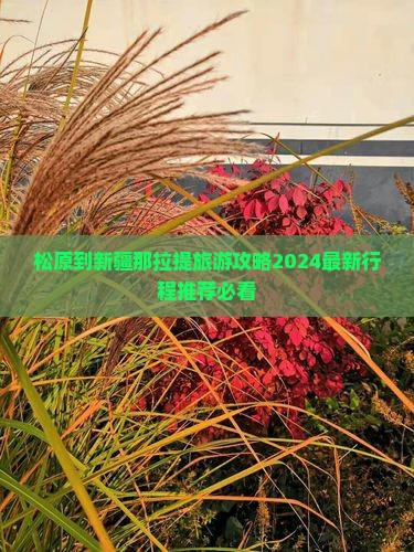 松原到新疆那拉提旅游