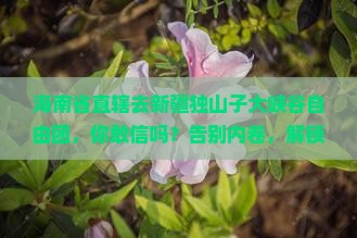 海南省直辖去新疆独山子大峡谷自由团