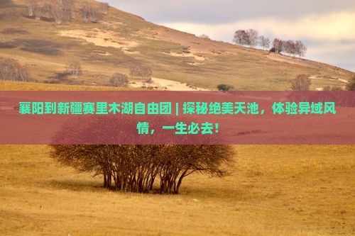 襄阳到新疆赛里木湖自由团