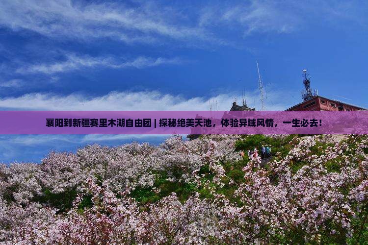 襄阳到新疆赛里木湖自由团