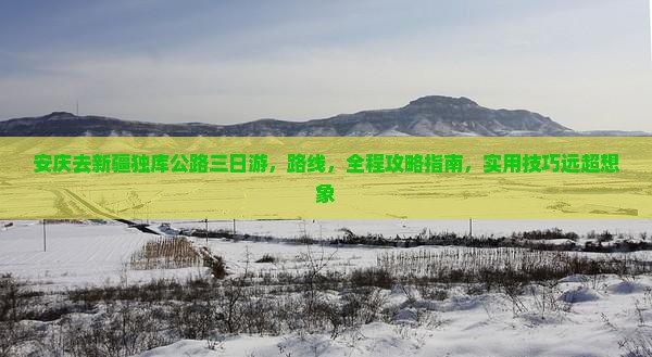 安庆去新疆独库公路三日游