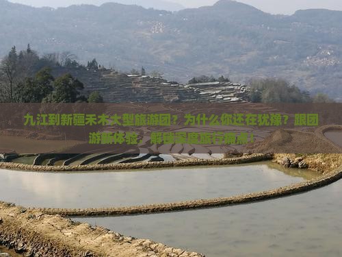 九江到新疆禾木大型旅游团