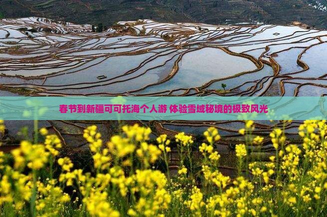 春节到新疆可可托海个人游