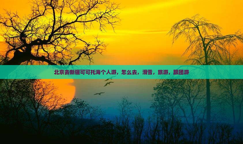 北京去新疆可可托海个人游