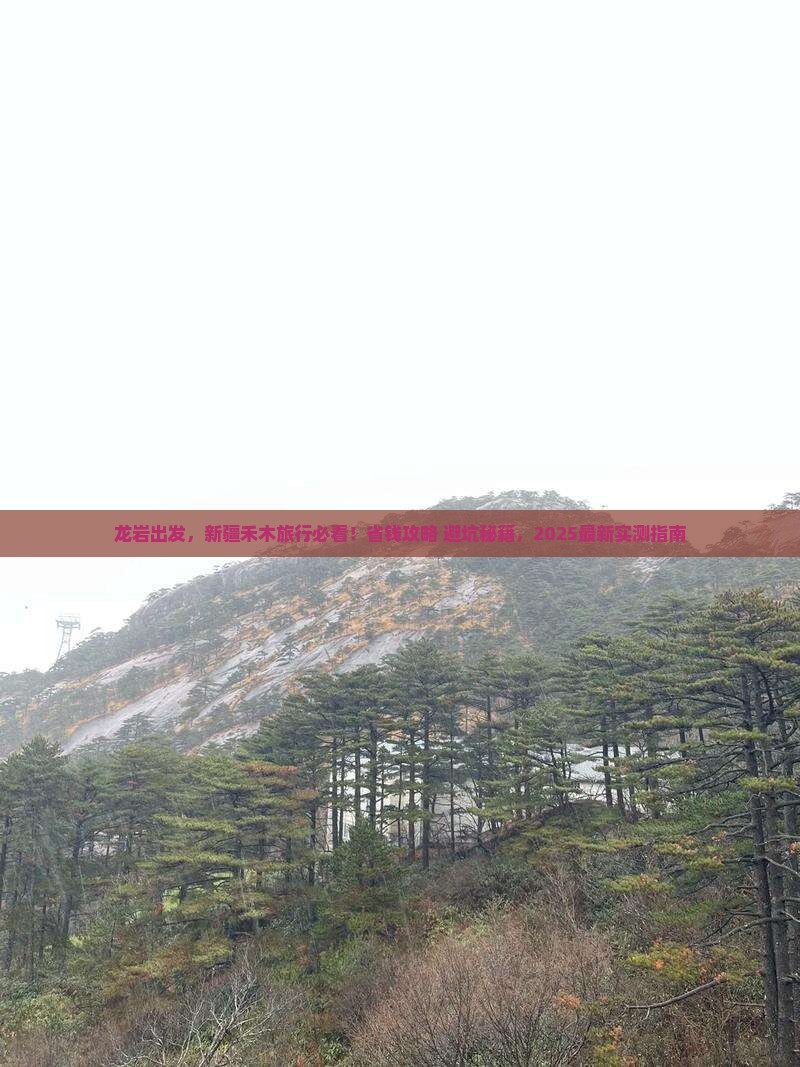 龙岩到新疆禾木旅行社