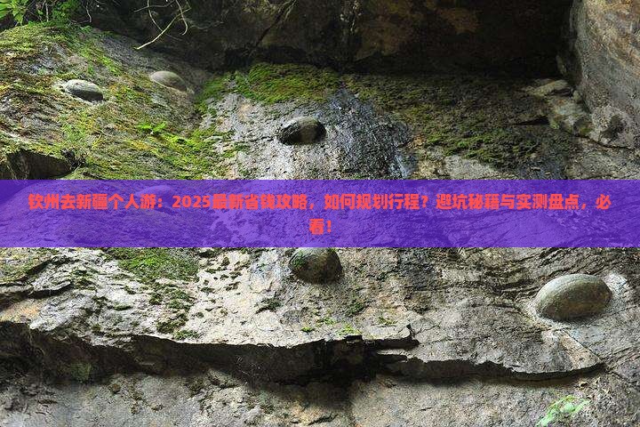 钦州去新疆个人游