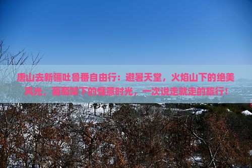 唐山去新疆吐鲁番自由行