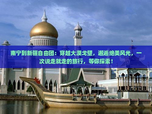 南宁到新疆自由团