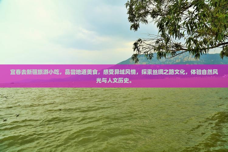 宜春去新疆旅游小吃