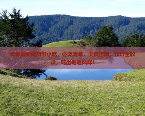 长春去新疆旅游小吃